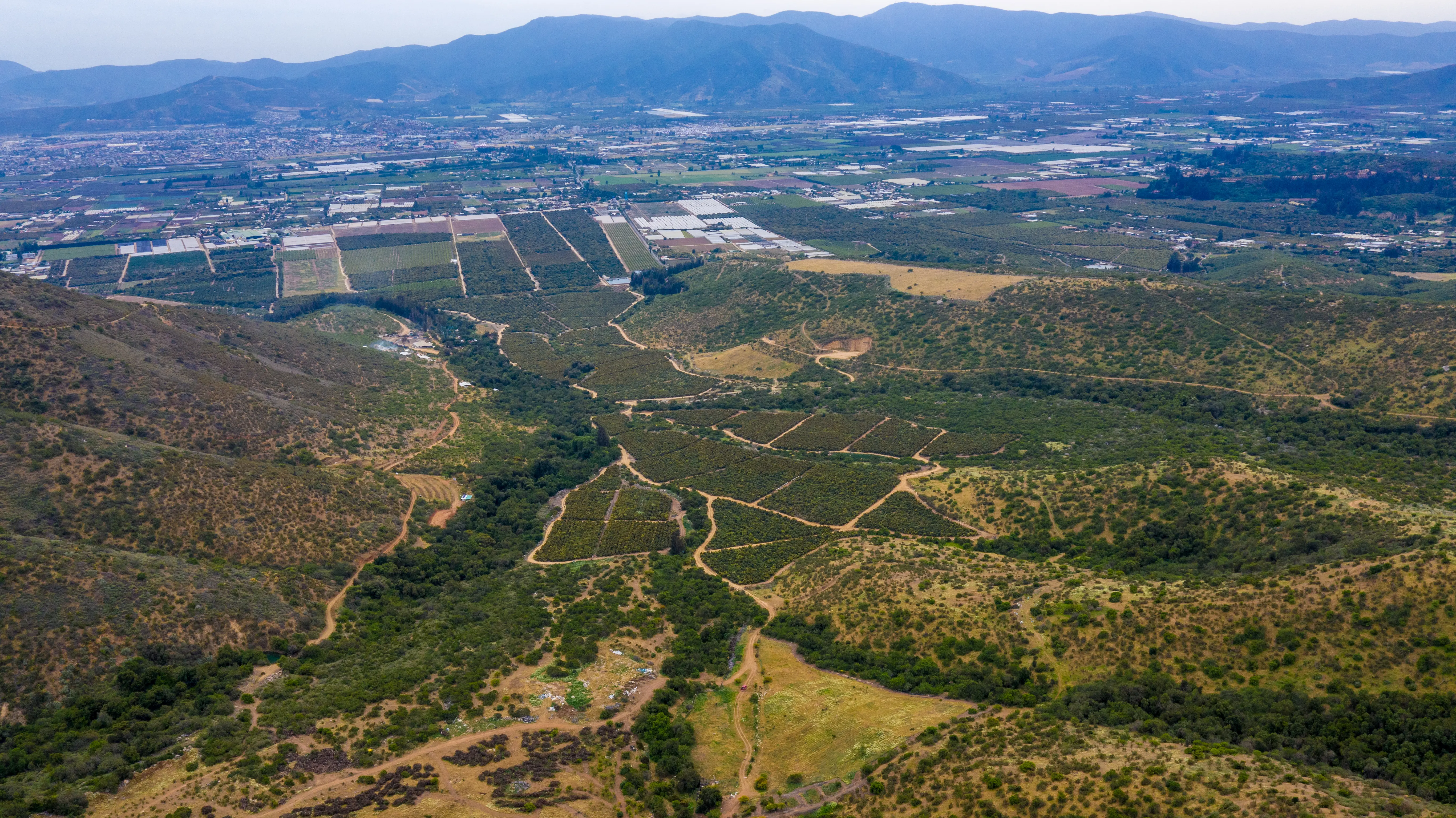 Identificación de campos